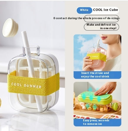 Instant Ice Bottle – Chill & Pour Cup by BLOSÉ