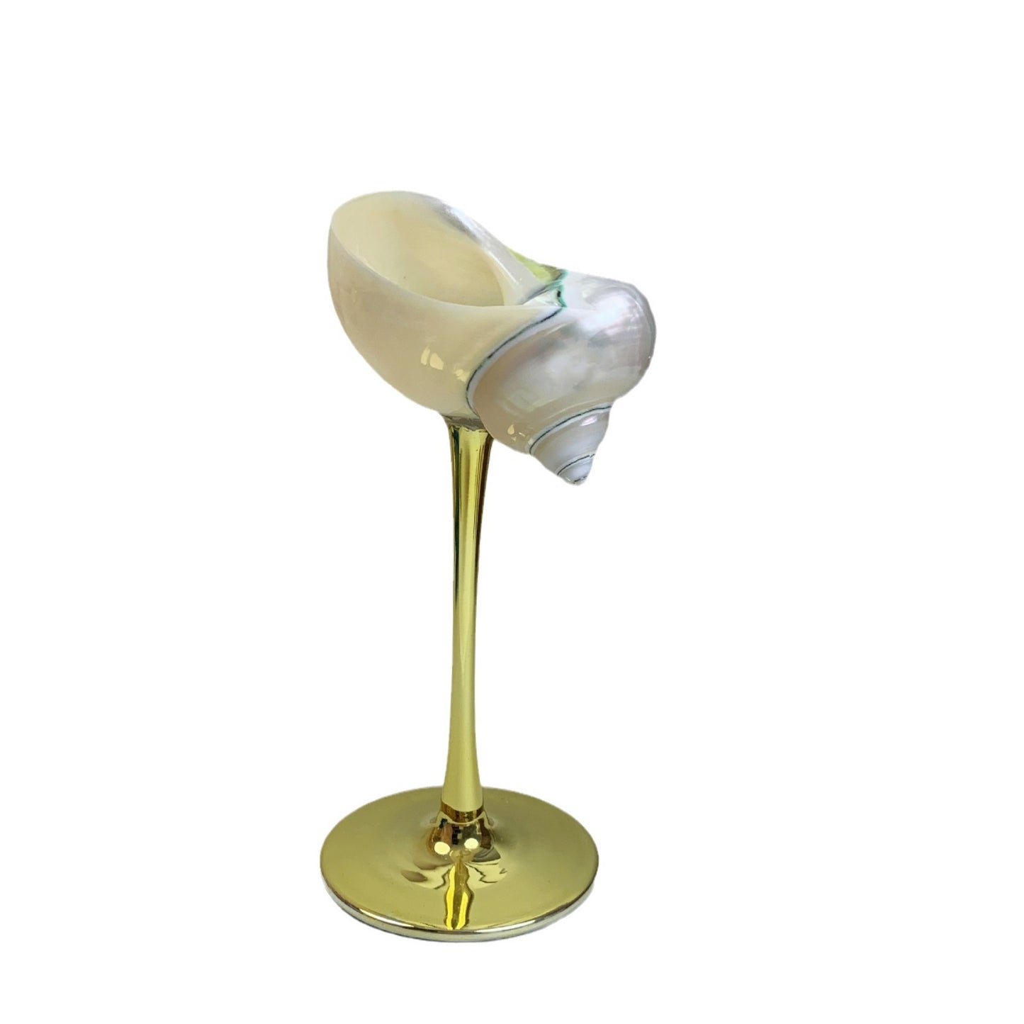 Shell Wine Glass – Handcrafted Ritual Cup with Natural Conch Shell by BLOSÉ