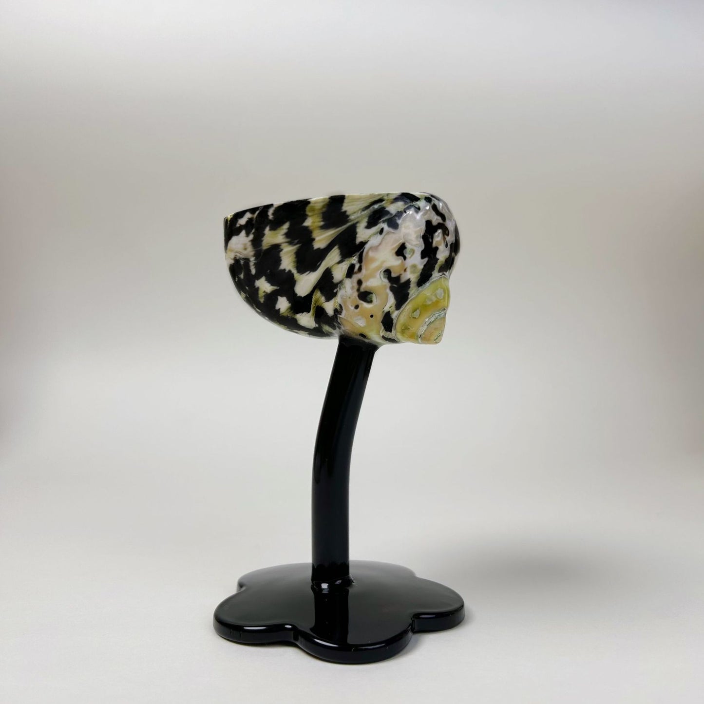 Shell Wine Glass – Handcrafted Ritual Cup with Natural Conch Shell by BLOSÉ