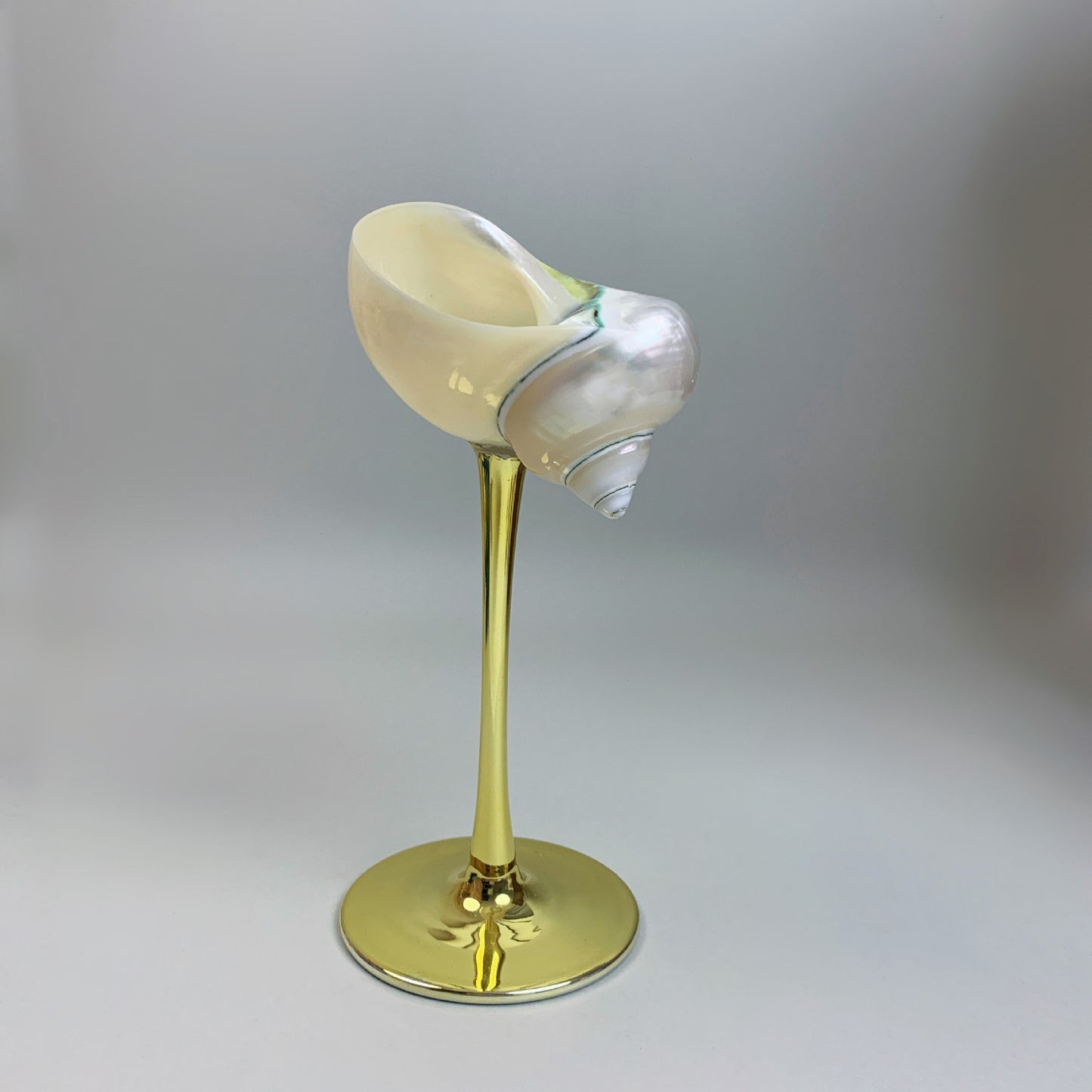 Shell Wine Glass – Handcrafted Ritual Cup with Natural Conch Shell by BLOSÉ