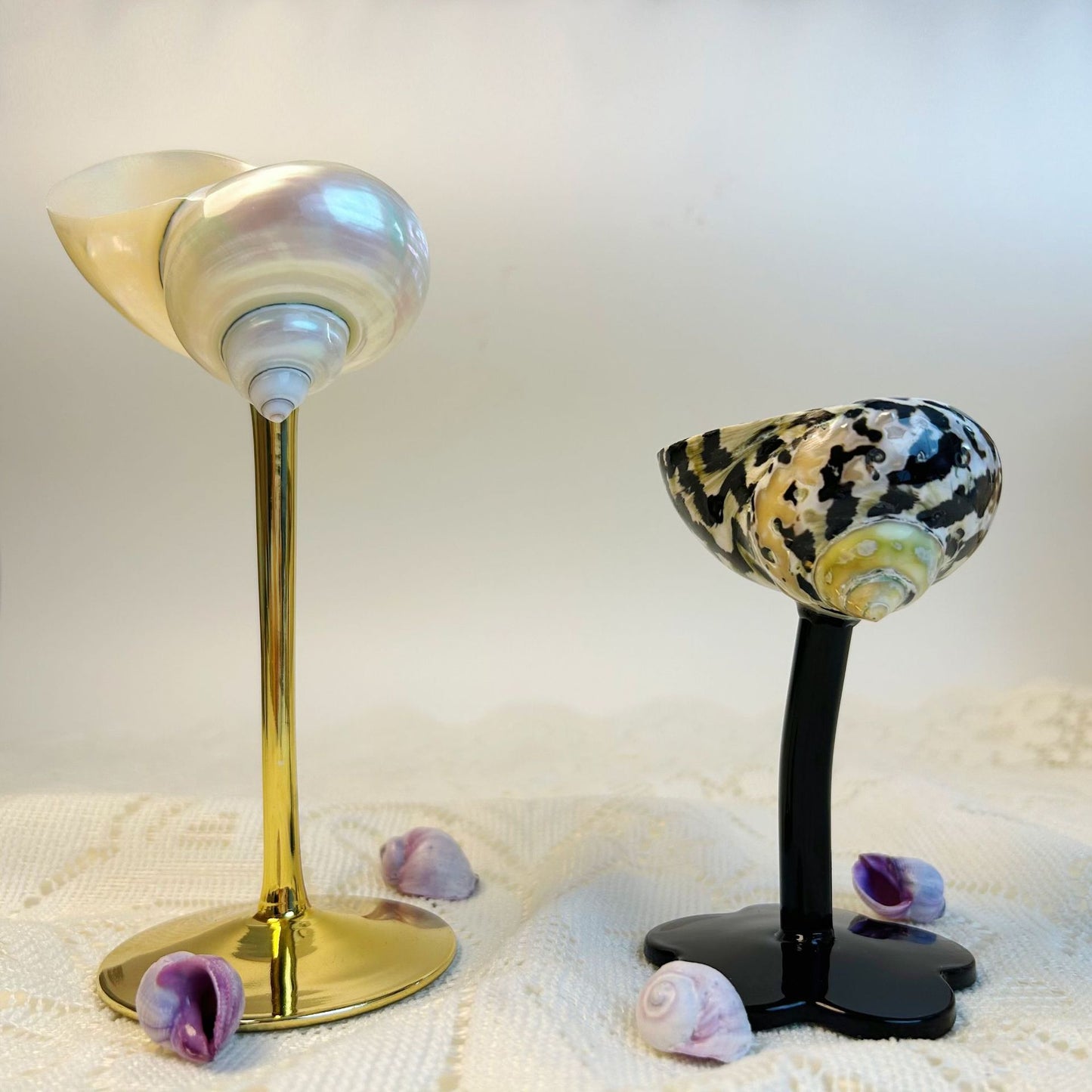 Shell Wine Glass – Handcrafted Ritual Cup with Natural Conch Shell by BLOSÉ