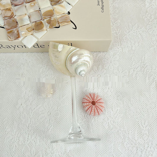 Shell Wine Glass – Handcrafted Ritual Cup with Natural Conch Shell by BLOSÉ