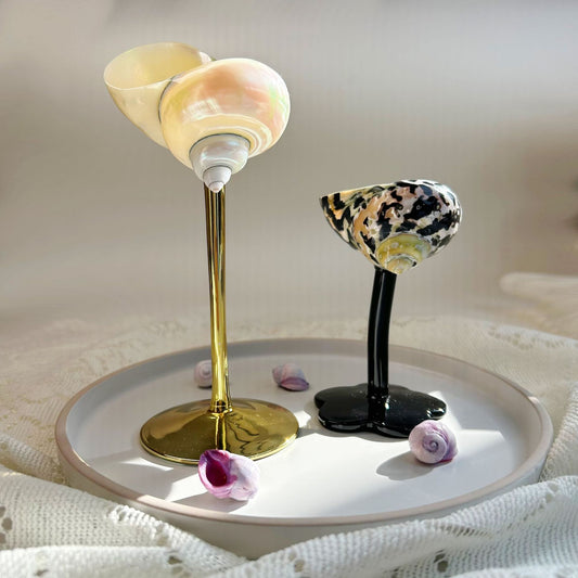 Shell Wine Glass – Handcrafted Ritual Cup with Natural Conch Shell by BLOSÉ