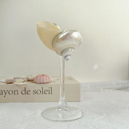 Shell Wine Glass – Handcrafted Ritual Cup with Natural Conch Shell by BLOSÉ