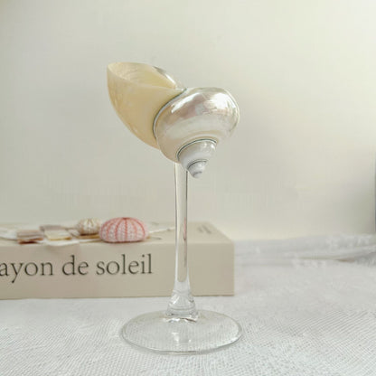 Shell Wine Glass – Handcrafted Ritual Cup with Natural Conch Shell by BLOSÉ