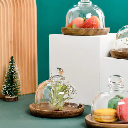 Glass Dome & Wooden Dessert Tray – Elegant Display for Treats & Decor